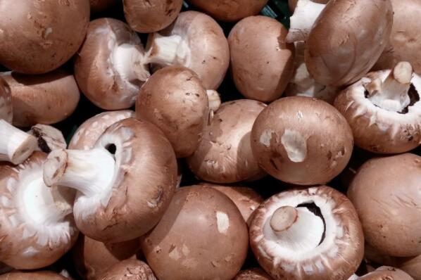 How do shiitake mushrooms grow? How is it different from mushroom? What are the costs and profits of planting?