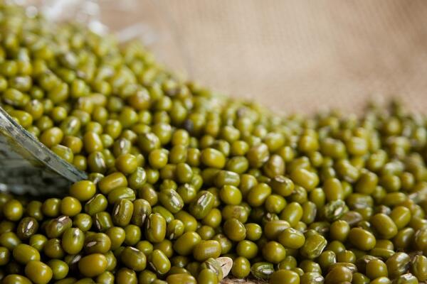 How long does it take for mung beans to blossom? When will you sow and reap? What are the planting methods?