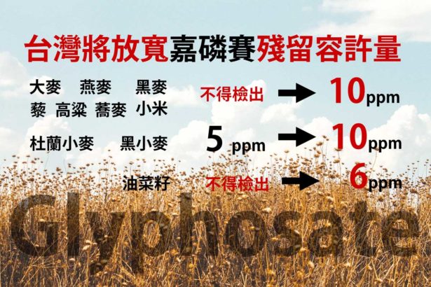 Taiwan plans to greatly relax the residue of gabion plug! Imported wheat, oats and other 10 items of miscellaneous grains, the maximum allowable 10ppm