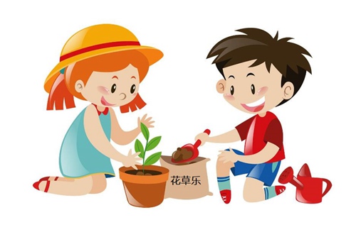 How to fertilize potted plants in different seasons? How should cake fertilizer be used?