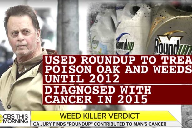 Long-term spraying of herbicides every spring, amateur gardeners also get lymphoma, mistakenly believe Monsanto advertisement: Jiaposai is safer than salt