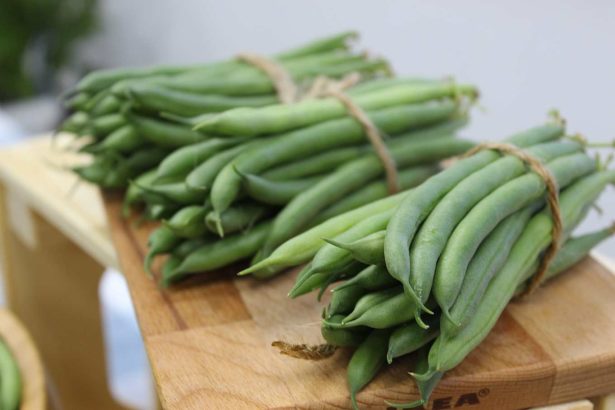 Dwarf bean ambition is high, follow edamame bean to become a new star, cultivation must remember 