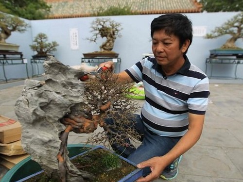 Bonsai creation: the first intention, throughout