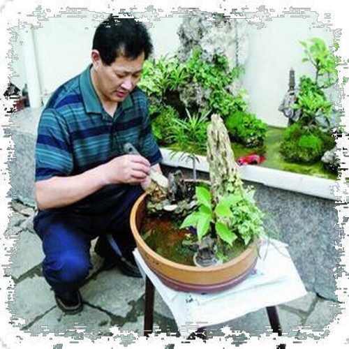 Master-slave relationship in bonsai creation