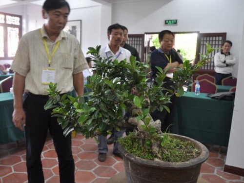 The coverage of proportion in the process of bonsai pile landscape modeling