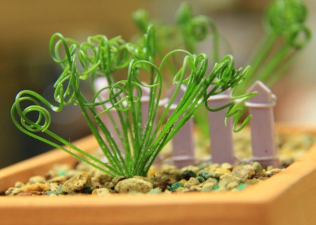 How to plant potted spring grass