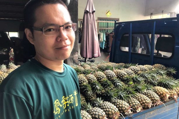 A Yuan's pineapple lollipop is very sweet, but the wish is sour.