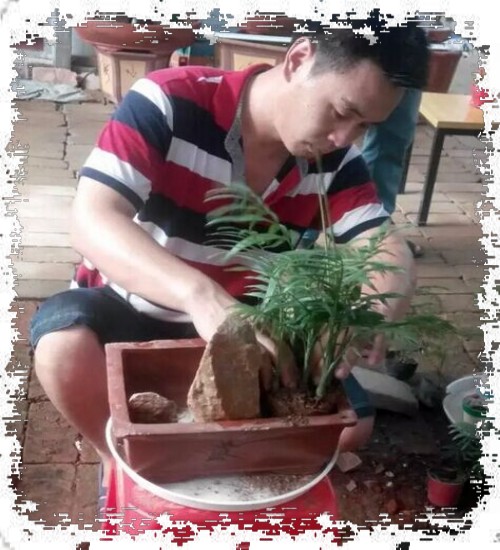 DIY making Picture and text course of Landscape Bonsai