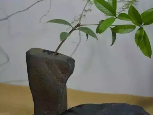 The method of making stone bonsai