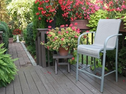 Summer outdoor potted plant maintenance tips