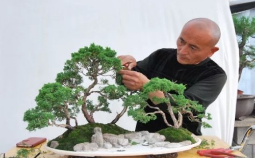 Basic steps of making flood and drought bonsai