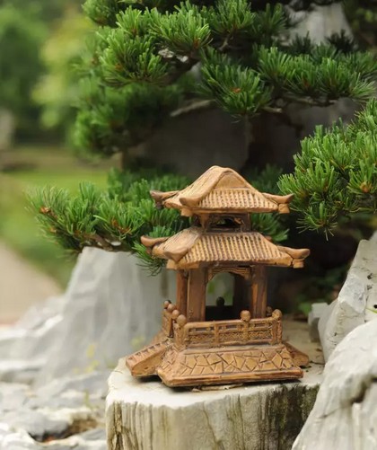 About Su-style bonsai