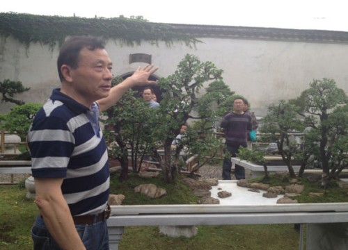 How to make flood and drought bonsai