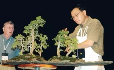 Zhao Qingquan, a master of Chinese bonsai art, shows the world the Yang bonsai