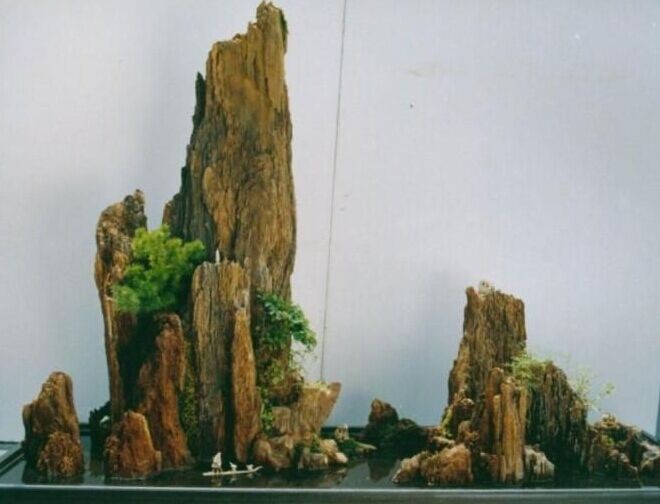 The creative idea of landscape bonsai