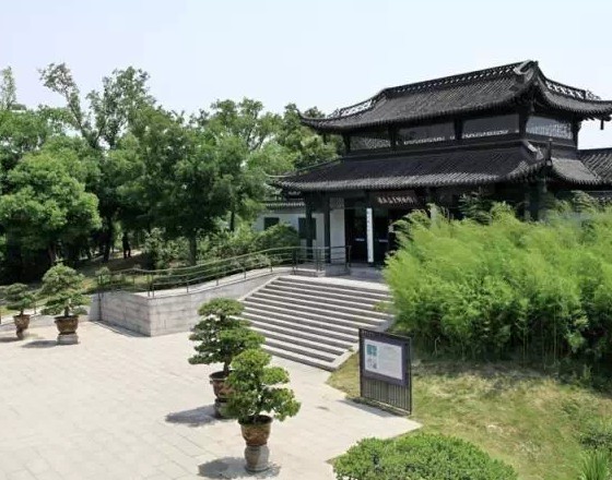 Yangpai bonsai museum bonsai garden