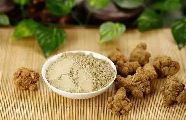 Key points of field management of Panax notoginseng