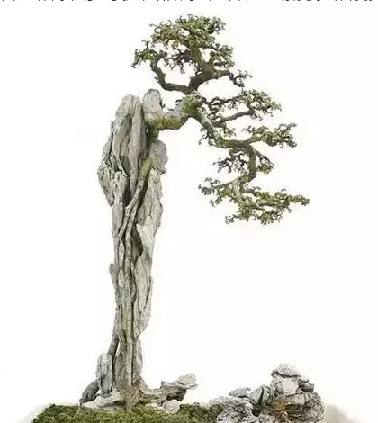 Exquisite stone bonsai