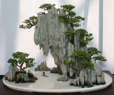 Matters needing attention when using scattered Stone layout to make Landscape Bonsai