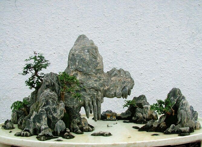 Matters needing attention in the maintenance of landscape bonsai