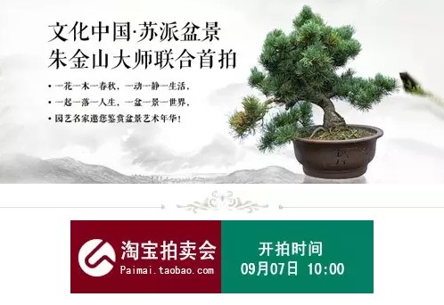 Cultural Chinese Soviet-style bonsai masters jointly shot their first works