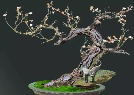 How to make the plum pile bonsai look old and simple