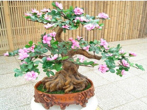 Modeling Technology of Camellia Bonsai