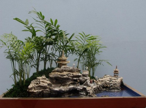 Where is the best place for rockery bonsai? fengshui