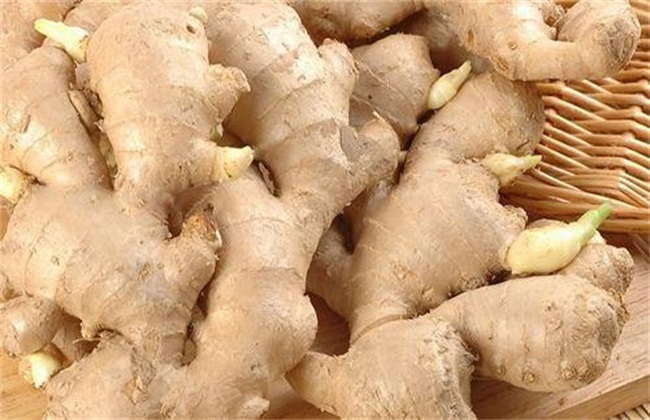 Storage method of ginger