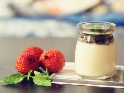 Handmade yogurt potted DIY small potted creative DIY