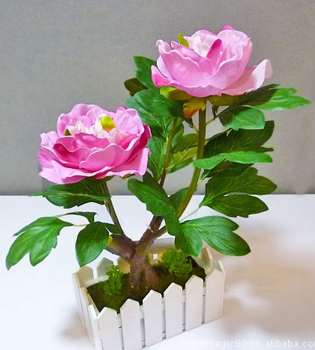 Learn more about the symbolic meaning and language of peony