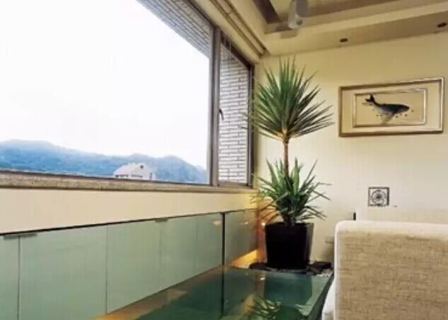 Living room potted fengshui interpretation of bonsai plants to enhance fengshui transport