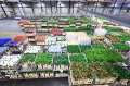 Taichung, the world's largest flower auction market, promotes the automation of the wholesale market.