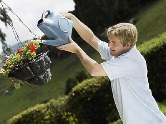 What should we pay attention to when watering flowers and plants in hot summer weather?