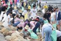 For the first time in Changhua County, the whole coast reduced plastic United Pure Beach to join hands to protect the ocean.