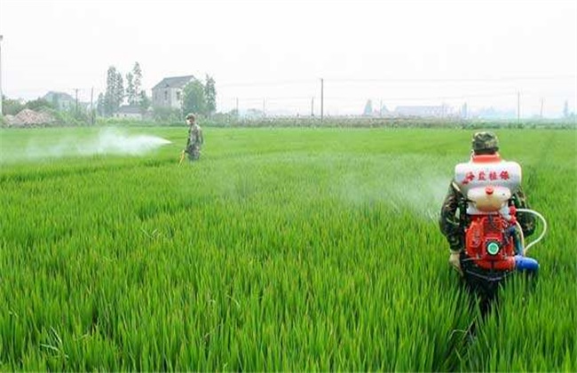 Matters needing attention in the use of pesticides