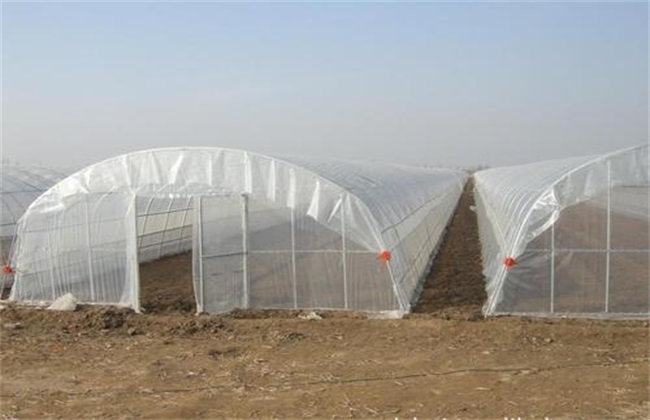 Matters needing attention for ventilation of greenhouse in winter