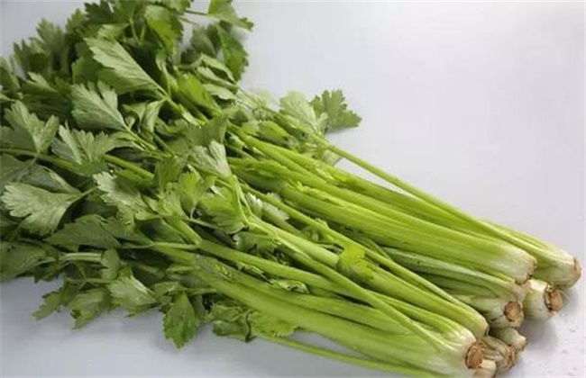 What is the cause of celery hollowness in autumn and winter greenhouse