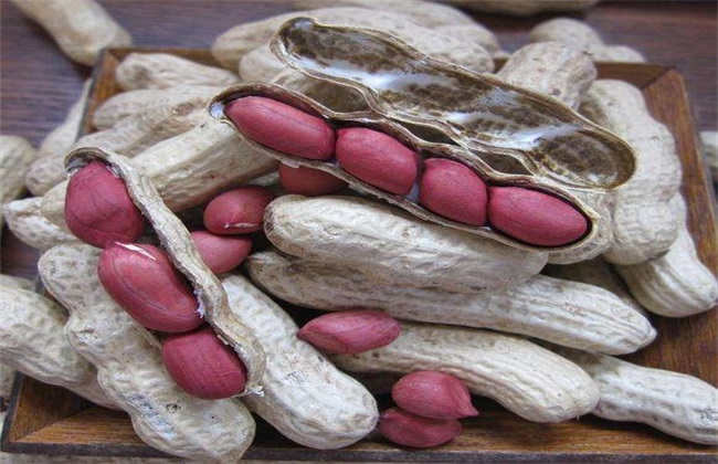 What are the factors affecting peanut seed germination