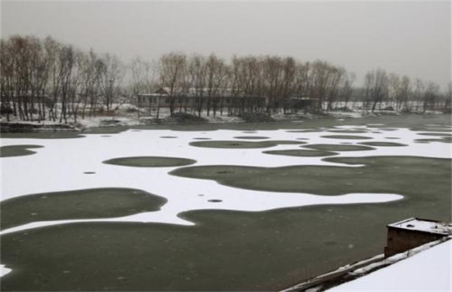 Causes and control measures of bottoming of fish ponds in winter