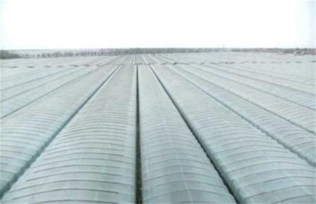 How to improve the light transmittance of agricultural film in greenhouse