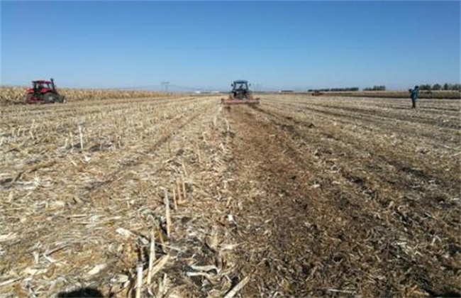 The benefits of returning corn straw to the field