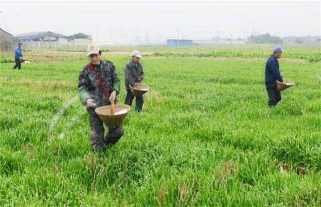 Misunderstandings and matters needing attention in spring ploughing and fertilization