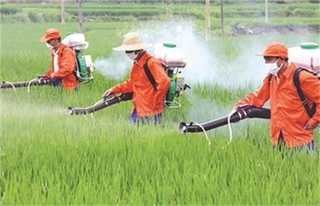 How to improve the utilization rate of chemical fertilizer