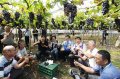 Wang Huimei, head of Changhua County, is concerned about the production of excellent early spring grapes in Changhua.