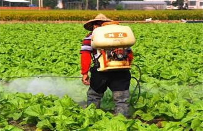 Precautions for the use of biopesticides