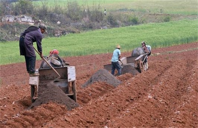 What are the ways to use farm manure?