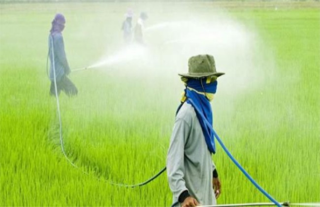 How to improve pesticide efficacy