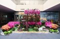 Yunlin County-join hands with Farmers' Association to protect the happiness of flower farmers and the fragrance of flowers in Yunlin