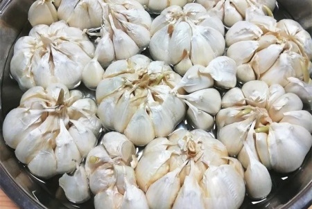 How to grow garlic yellow? what is garlic yellow?